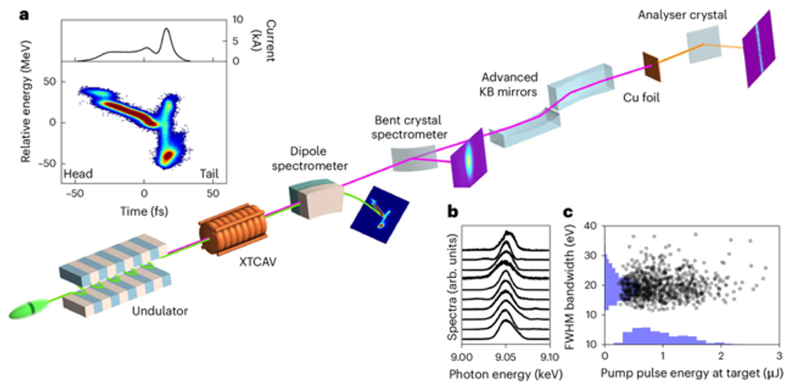 アト秒X線レーザーの生成に成功――電子の超高速な動きを捉える新たな光を実現――