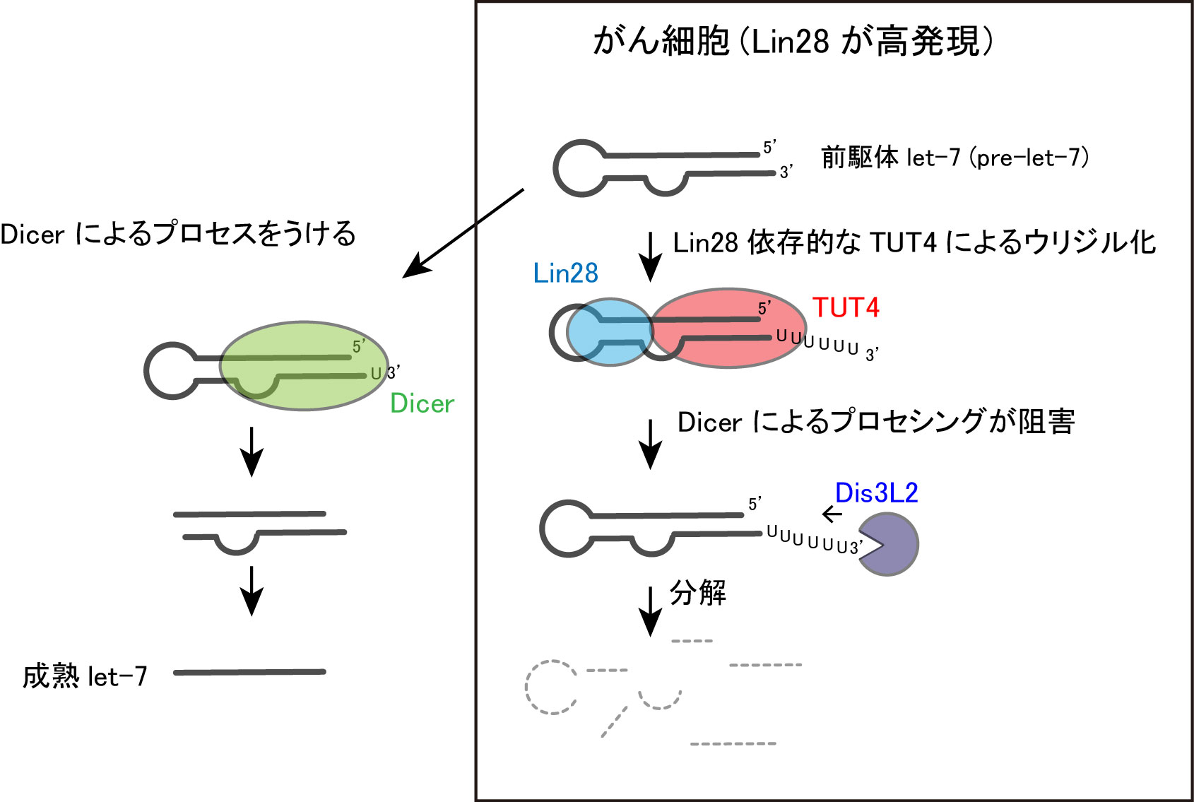 2563fig1
