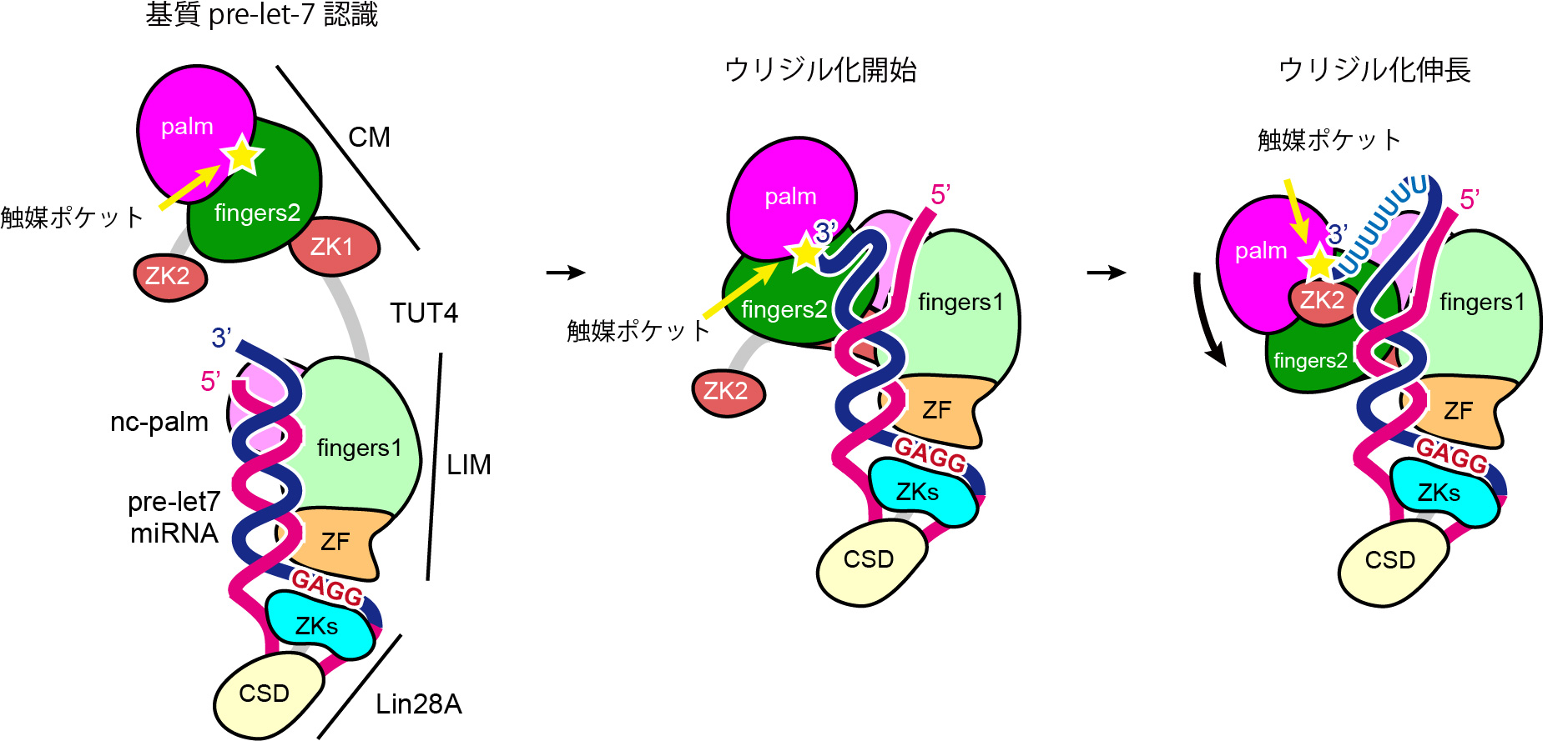 2563fig4
