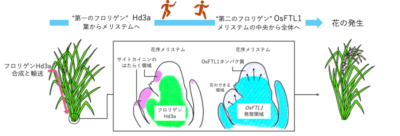 2566fig1