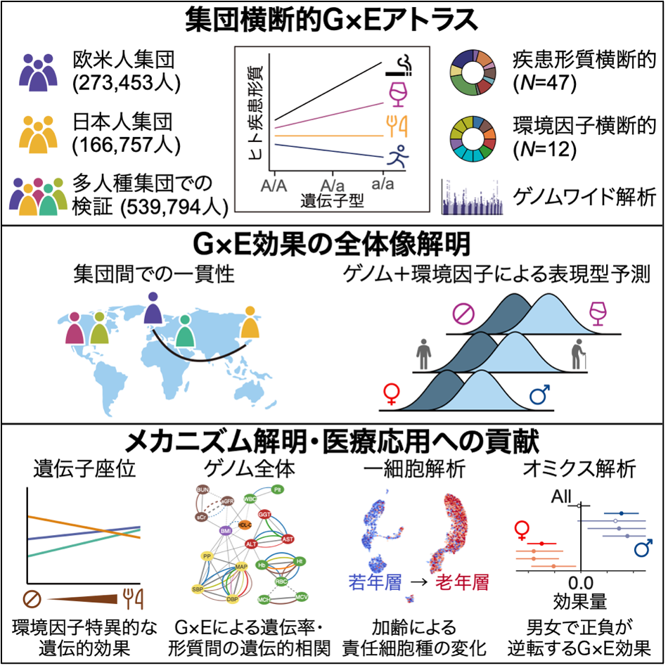 260129fig