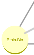脳・バイオモジュール