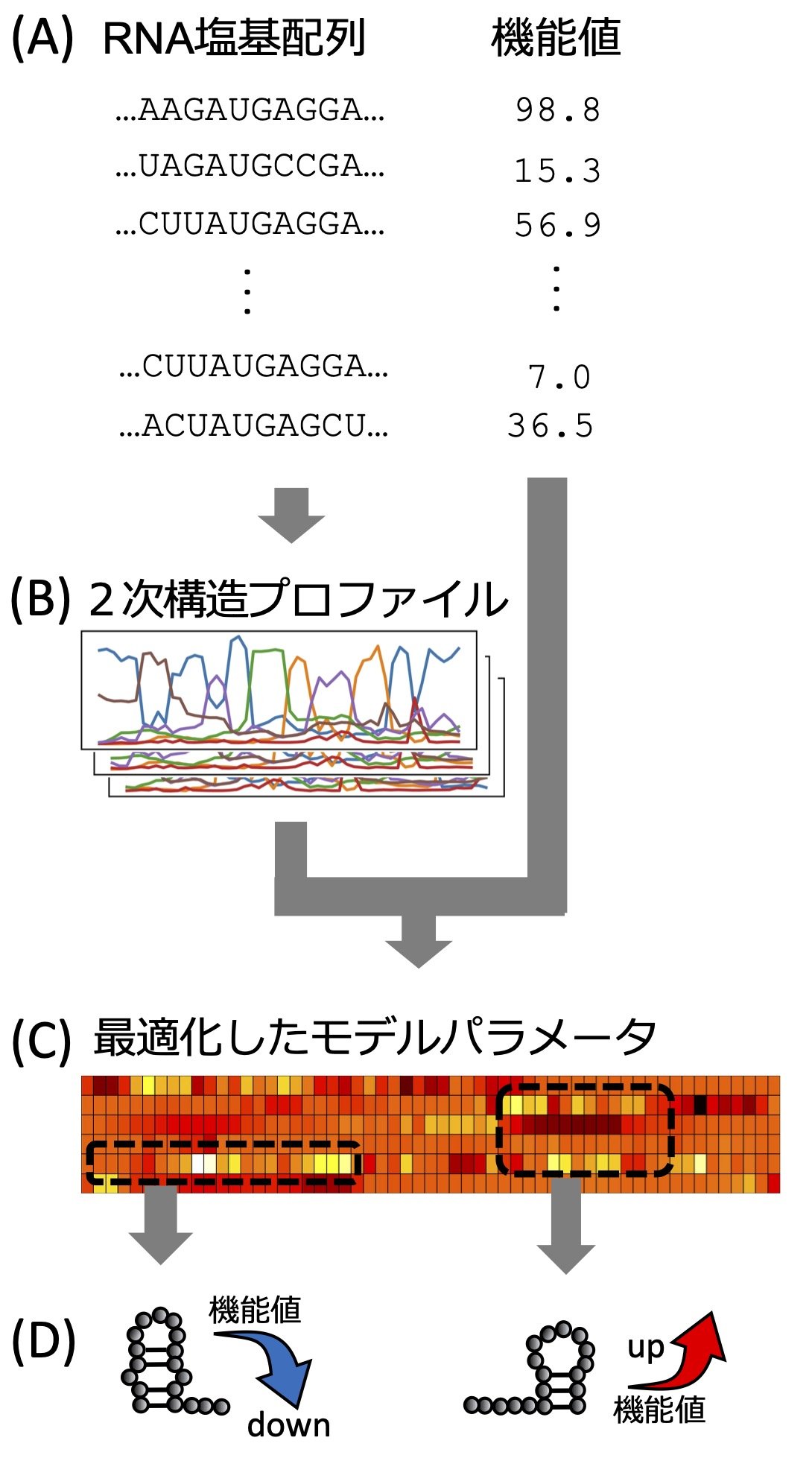 figure1_r1.jpg