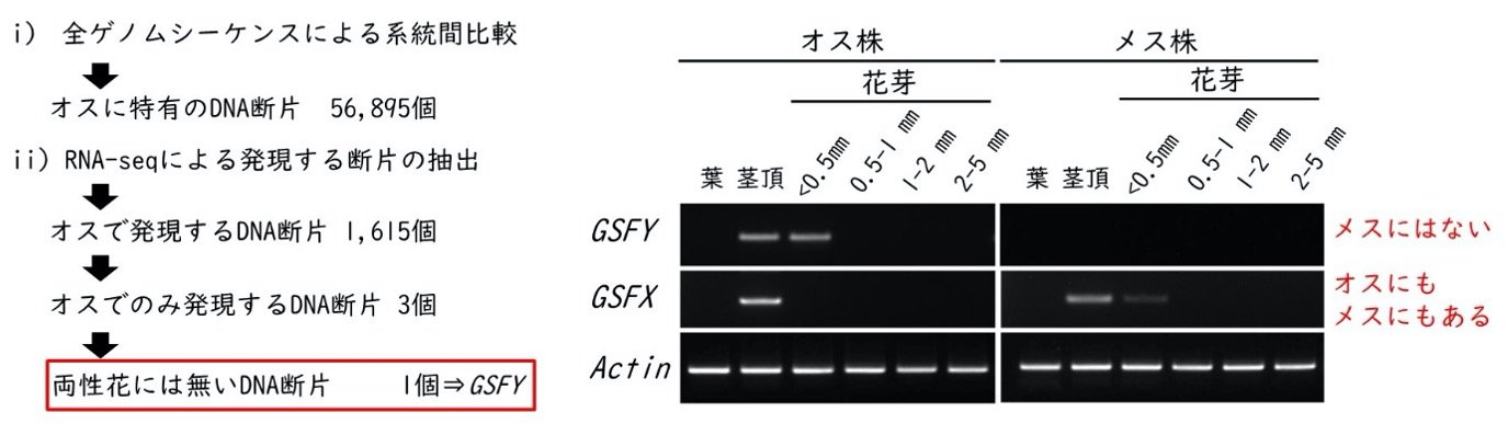 2227fig2.jpg