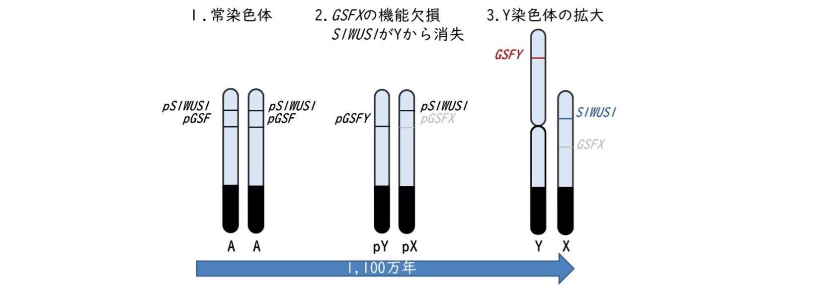 2227fig3.jpg