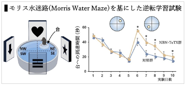 2357fig2.pngのサムネイル画像