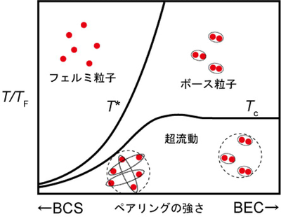 新領域 : ボース・アインシュタイン凝縮による超伝導を初めて確認