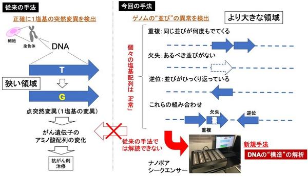 2006fig1.jpg