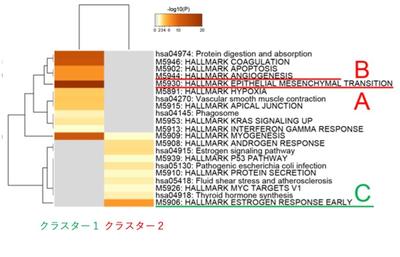 2963fig_2c.3.jpg