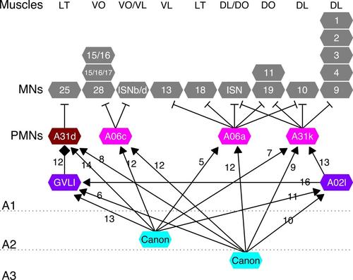 2108fig3.jpg