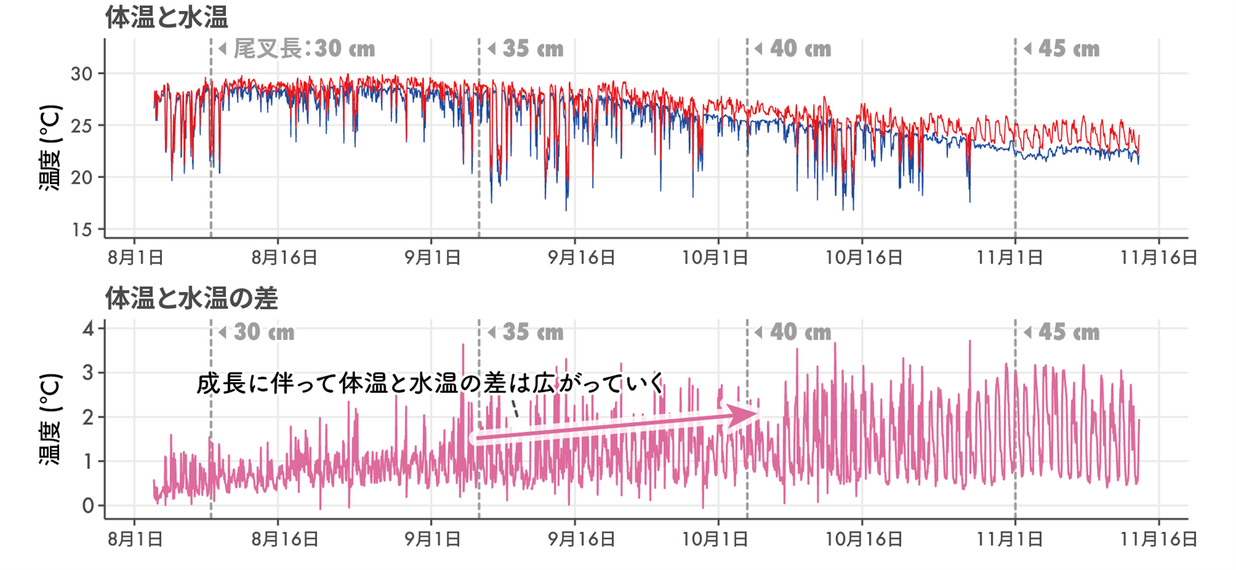画像2.png