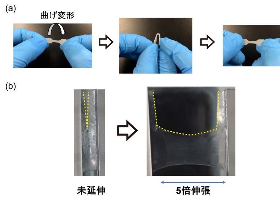 図2ゲル電解質の高い柔軟性と亀裂進展抵抗性.jpg