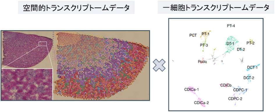 /information/upload/2165fig1.jpg