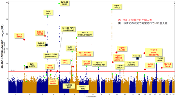 図1　同定された遺伝子の個人差.png