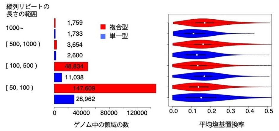 図2複合型と単一型で分類した縦列反復配列長の分布.jpg