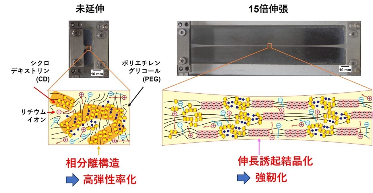 図1ゲル電解質の模式図と写真.jpg