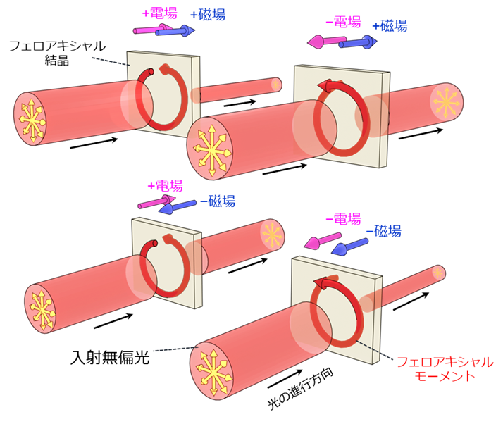 図2フェロアキシャル結晶における電場誘起磁気キラル二色性の概念図.png