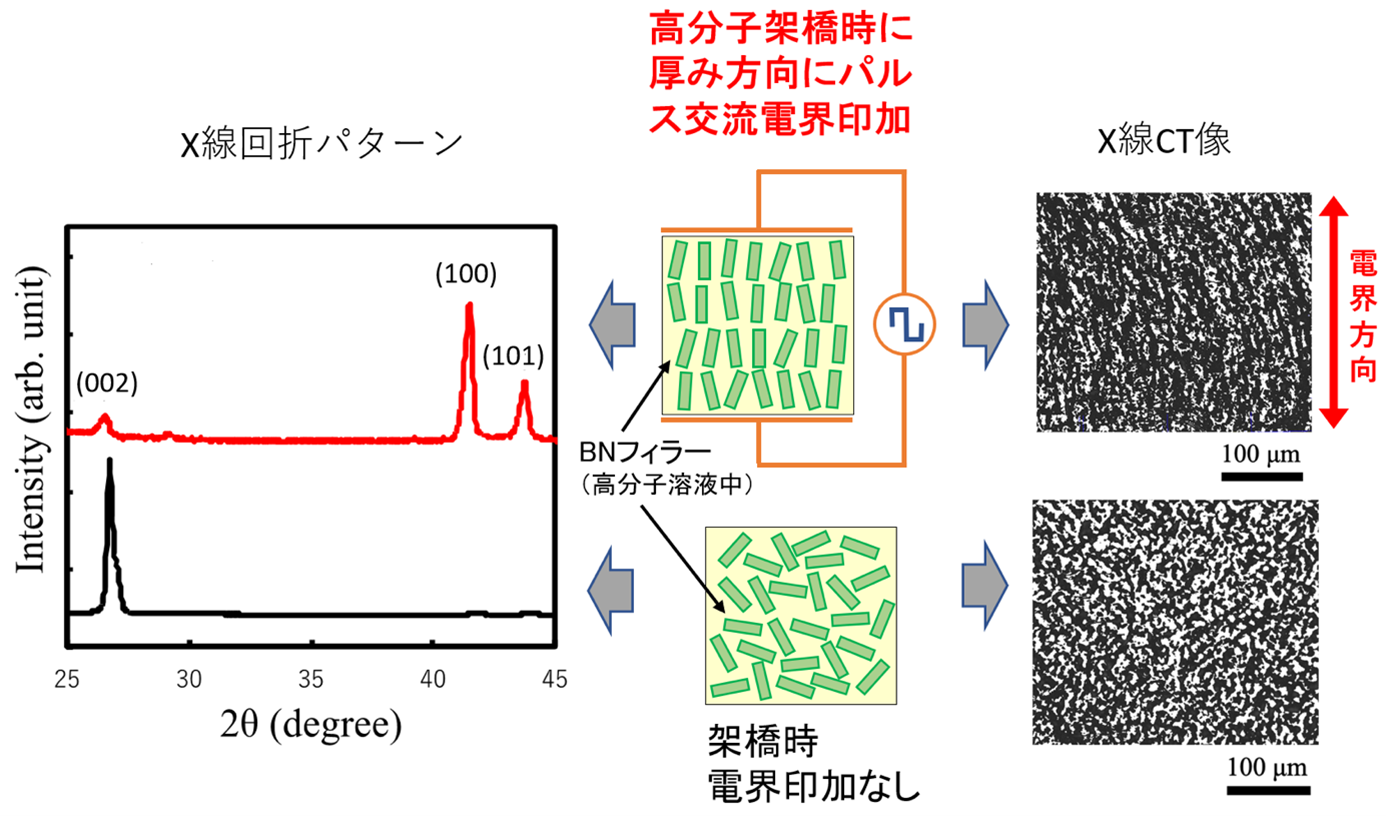 図1ゴム複合材料中のBNフィラーの電界配向と構造評価結果.png