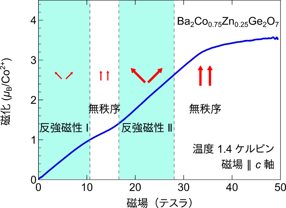 図2磁化の値.png