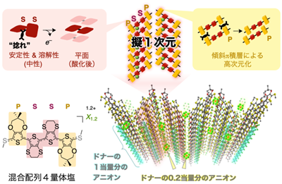 図2本研究で開発した混合配列４量体塩の設計指針.png