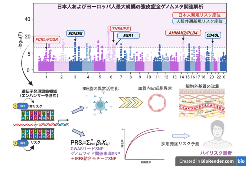 強皮症におけるメタ全ゲノム解析.png