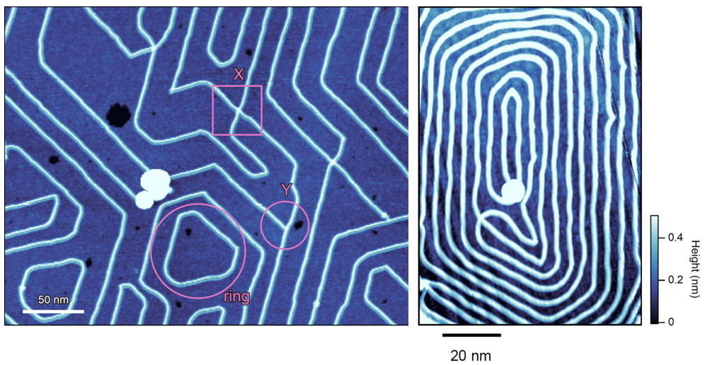 図2ジャンクションリングや渦巻き模様のSTM像.png