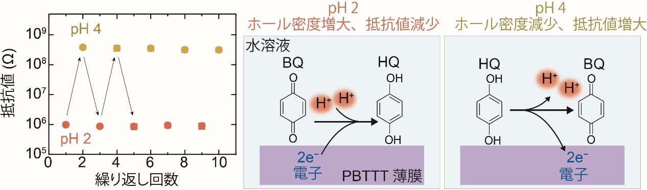 図2左抵抗値の変化、右抵抗値が繰り返し変化するメカニズム.jpg