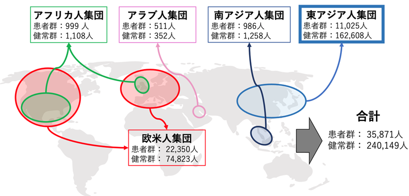 図1　本研究で解析した人種集団ごとのサンプル数.png