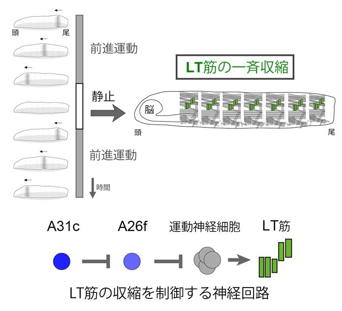 画像1.jpg