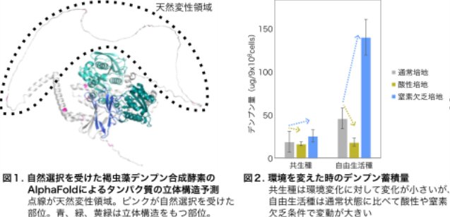 画像2.png