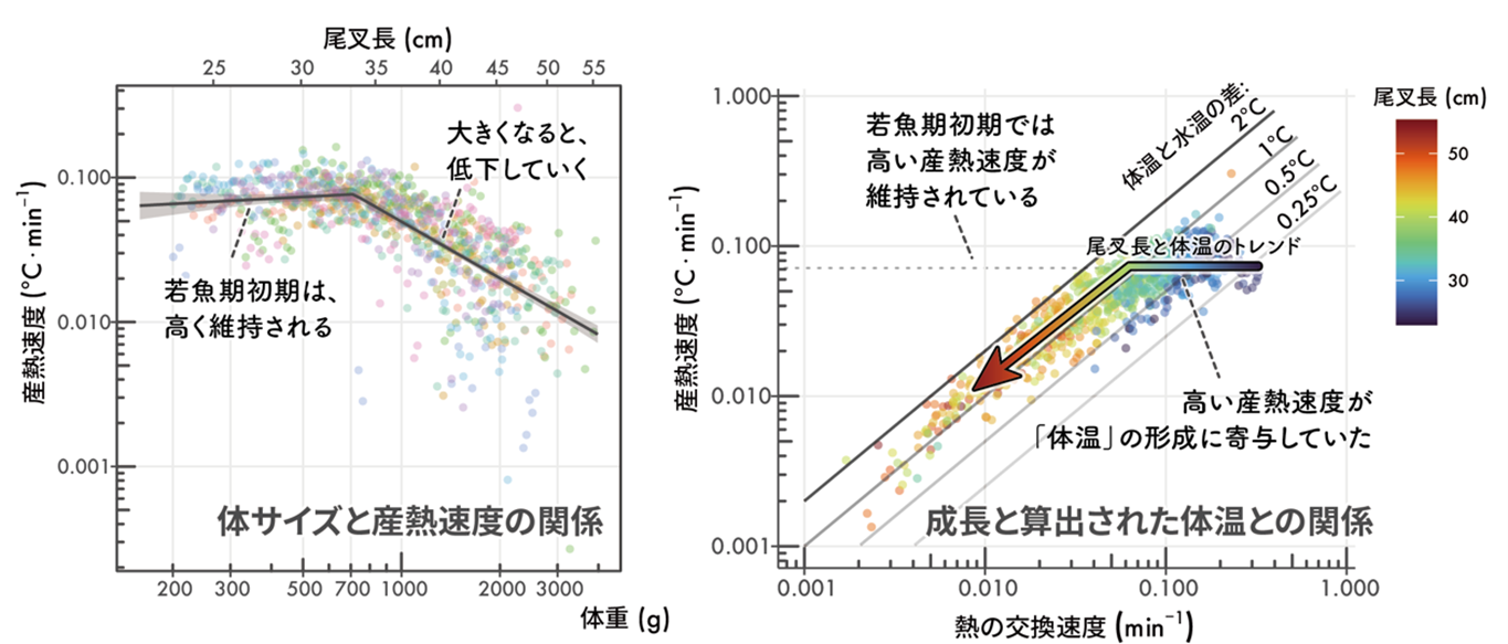 画像3.png