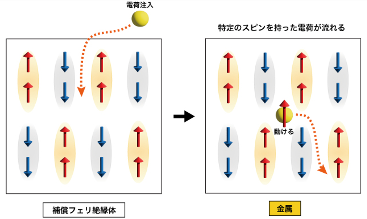 図3補償フェリ磁性絶縁体へのドーピングの概念図.png