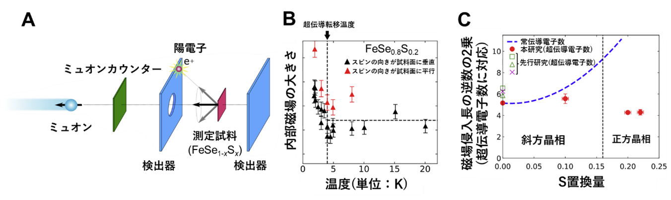 図2ミュオンスピン回転緩和実験及びその結果.png