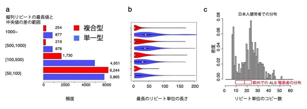 図4伸長が顕著な個人が存在する縦列反復配列の分析.jpg