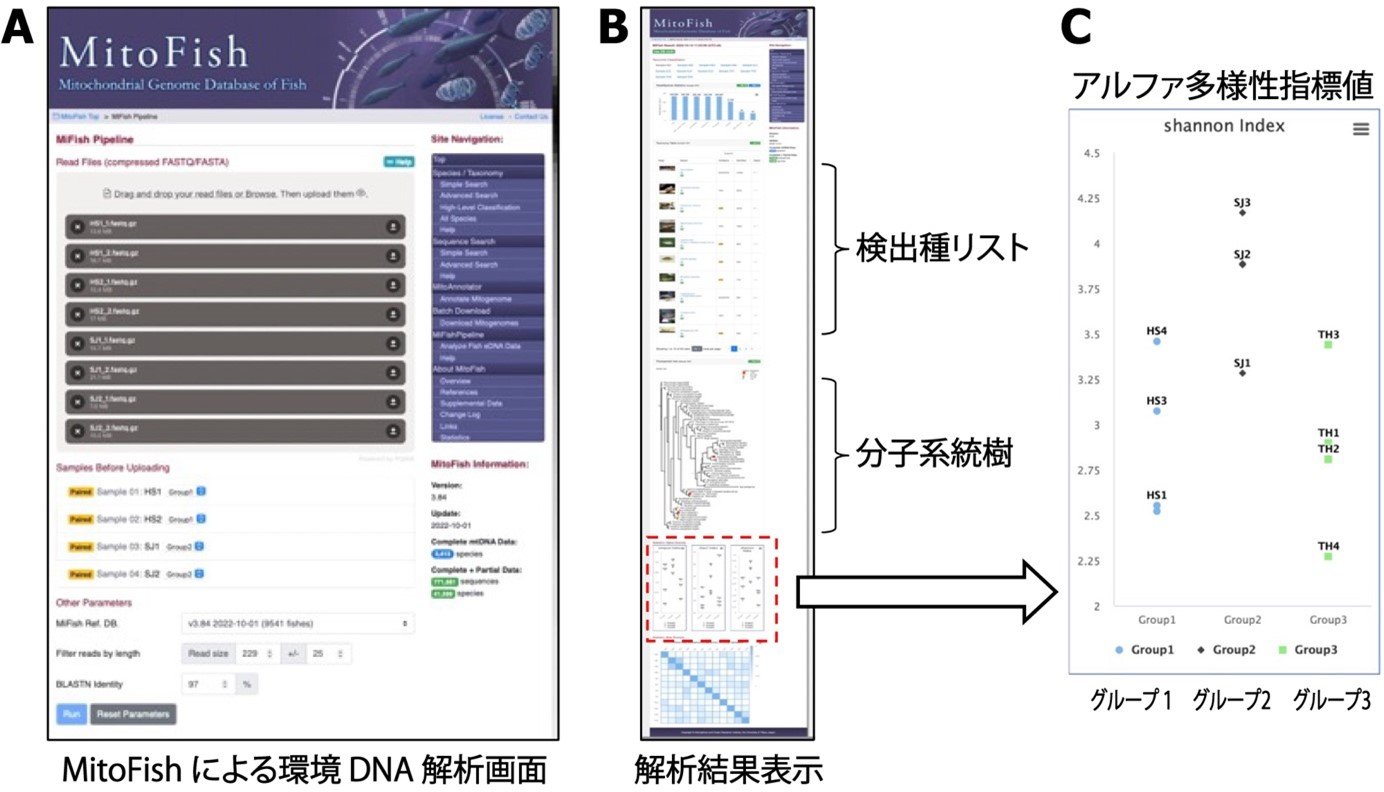 図1.jpg