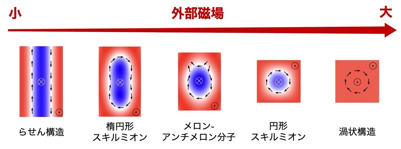 多彩なスピン構造の概念図.jpg