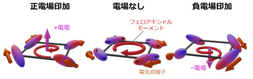 図1電気双極子の渦状配置からなるフェロアキシャル秩序の概念図.png