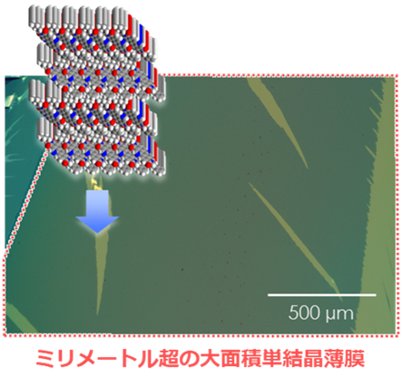 図3単結晶薄膜と結晶構造.png