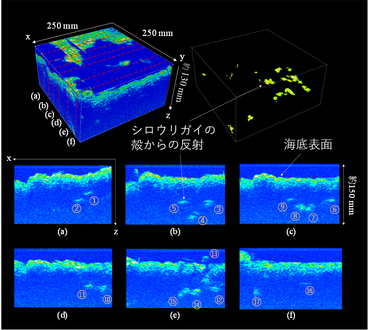 図63次元の音響画像.png