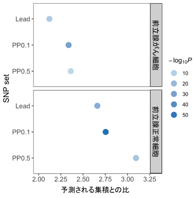 図１解析結果.png