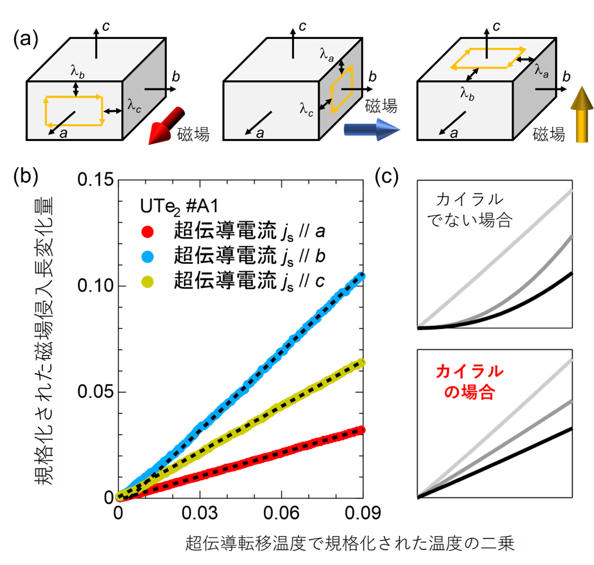 図2磁場侵入長測定結果.png