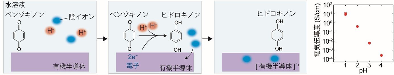 図　開発した手法の機構および㏗による有機半導体薄膜のドーピング量制御.jpg