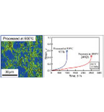 YOKO YAMABE-MITARAI & TETSUYA MATSUNAGA Lab. research