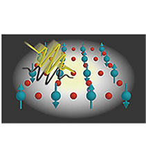 HIROSHI OKAMOTO & NORIAKI KIDA LAB. research