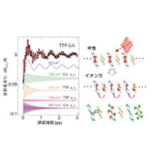 HIROSHI OKAMOTO & NORIAKI KIDA LAB. research