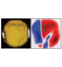 HIROSHI OKAMOTO & NORIAKI KIDA LAB. research