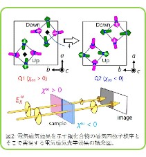 TSUYOSHI KIMURA LAB. research