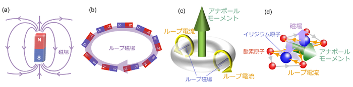 2046fig1.pngのサムネイル画像