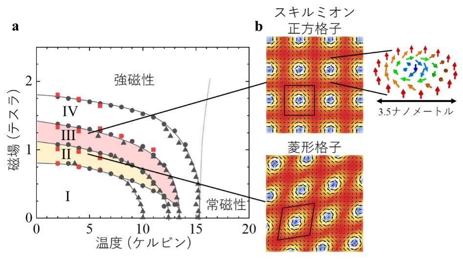 図2:(a)EuAl4の磁気相図。(b)観測した磁気スキルミオンの正方格子(III)および菱形格子(II)の模式図。背景色は、電子が持つ磁気モーメントの紙面垂直成分の向きを表しており、赤い部分で手前側、青い部分で向こう側を向いている。